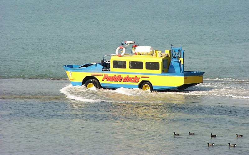 Puddle Duck at Saint Helier