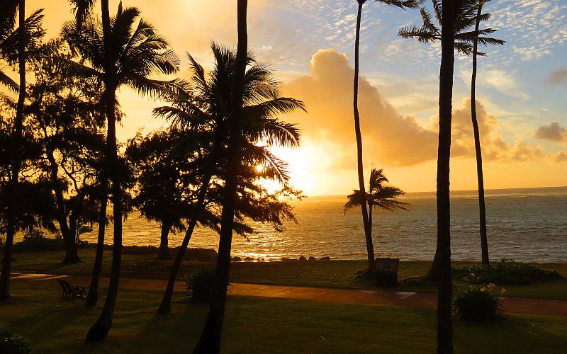 Hotel Coral Reef Resort Sunrise