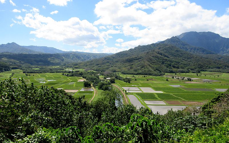 Hanalei Valley Lookout - Kauai, Hawaii