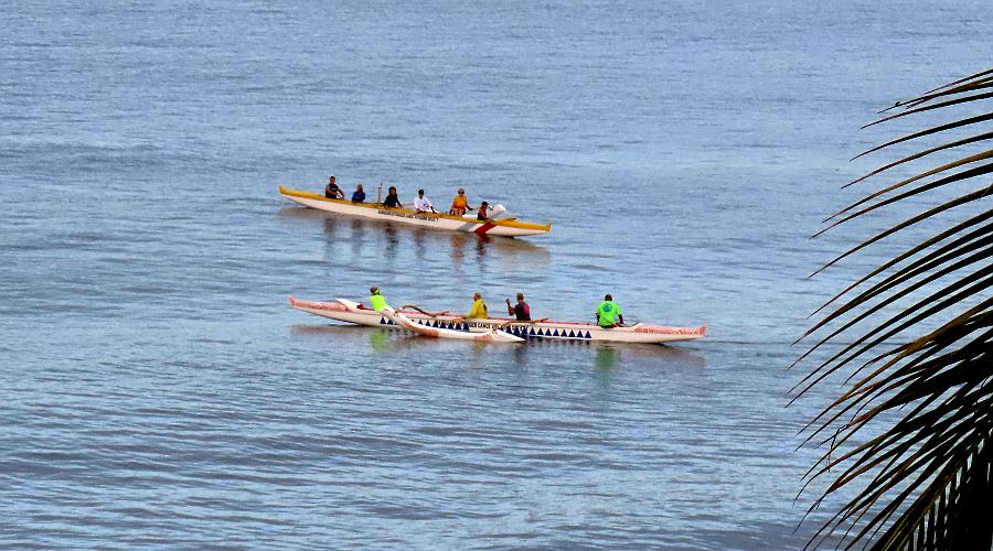 Wa'a Hawaiian canoes