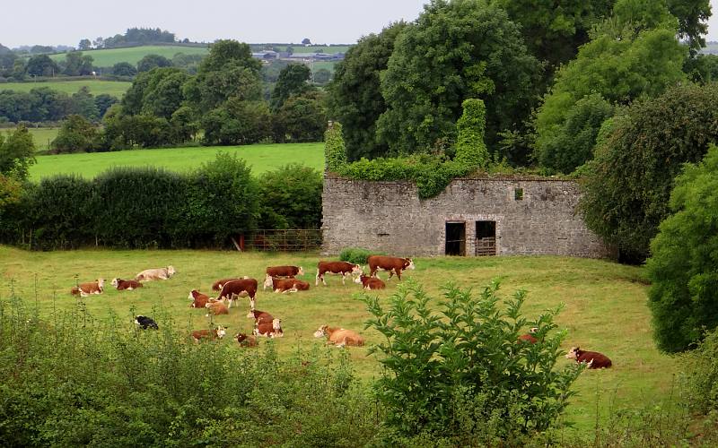 Newgrange Farm - County Meath, Ireland