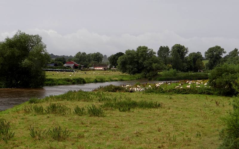 River Boyne - Ireland