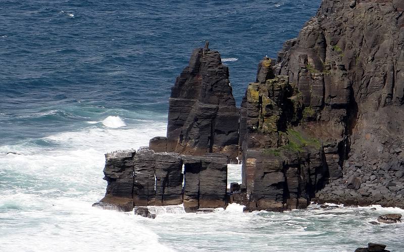 Sea stumps at the Cliffs of Moher