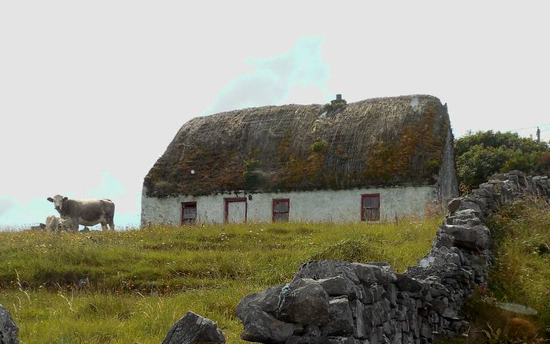 Thatch roof cottage - straw