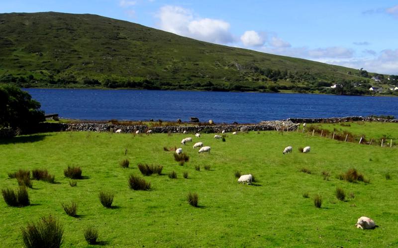 Lough Bofin in Connemara