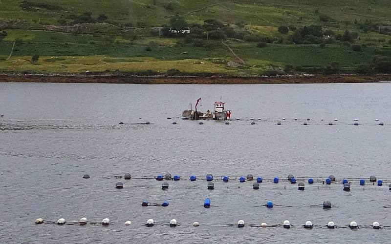 Killary Harbour mussel farm