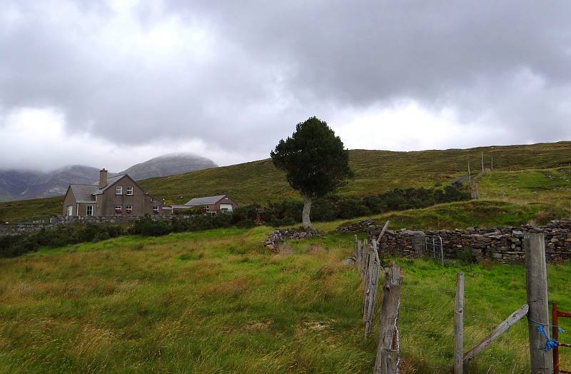 Connemara fields and stone fences