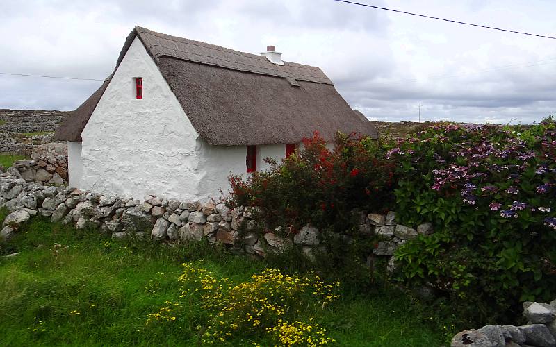 Connemara thatch roof house and wildflowers