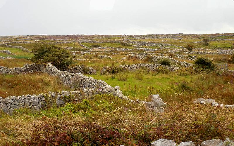 Connemara stone walls