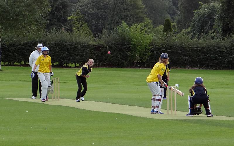 Crisket Players in Malahide