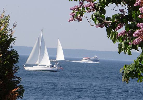 Mackinac Island lilacs, ferry and sailboats