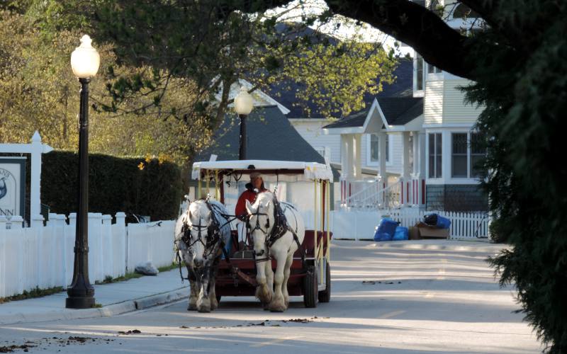 Mackinac Island horses and carriage