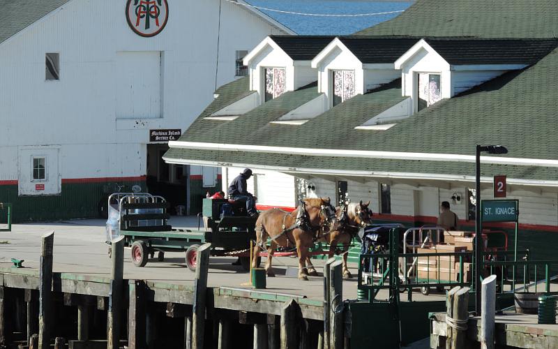 Horses and wagon - Mackinac Islnad, Michigan