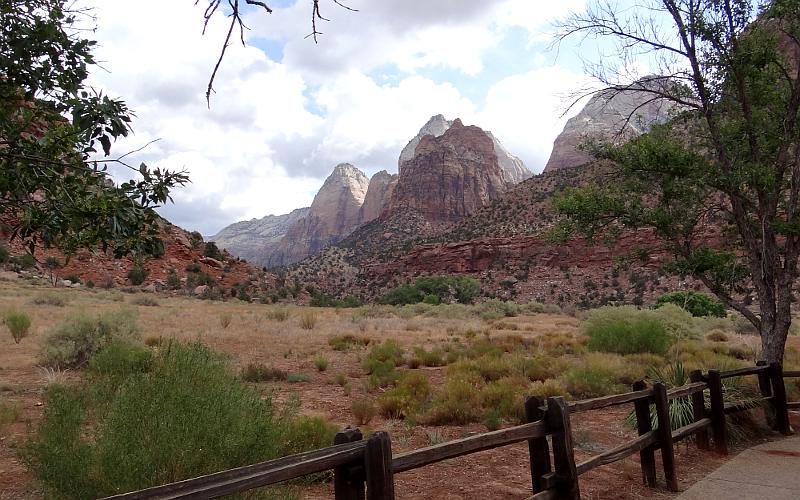 Zion National Park meadow and mountains