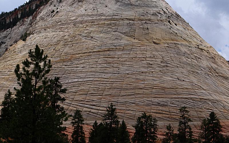 Checkerboard Mesa - Zion National Park