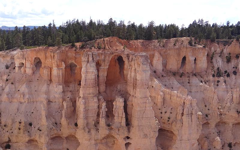 Bryce National Park hoodoos