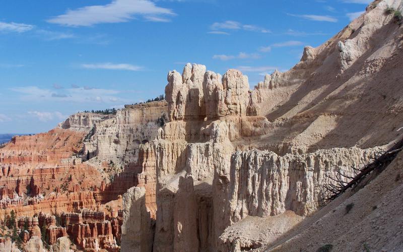 White hoodoos in Bryce National Park