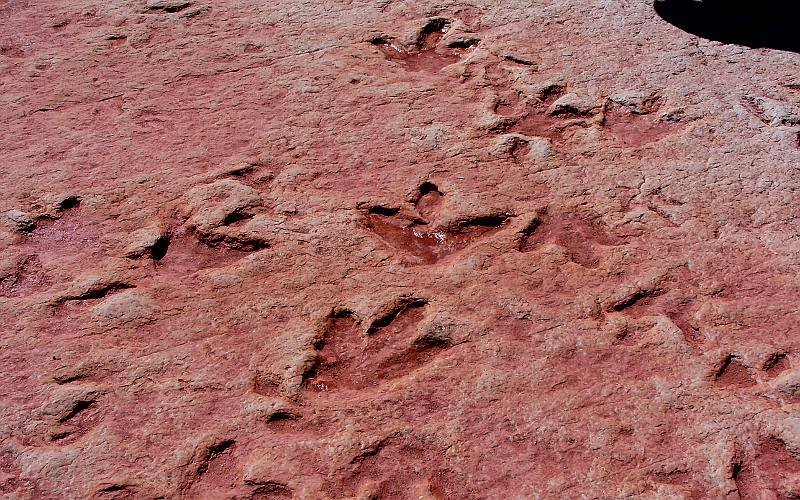 Tuba City dinosaur tracks