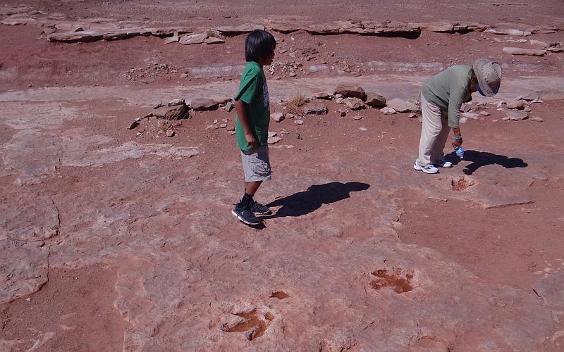 dinosaur tracks in Arizona