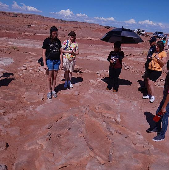 faux dinosaur tracks at Tuba City, Arizona