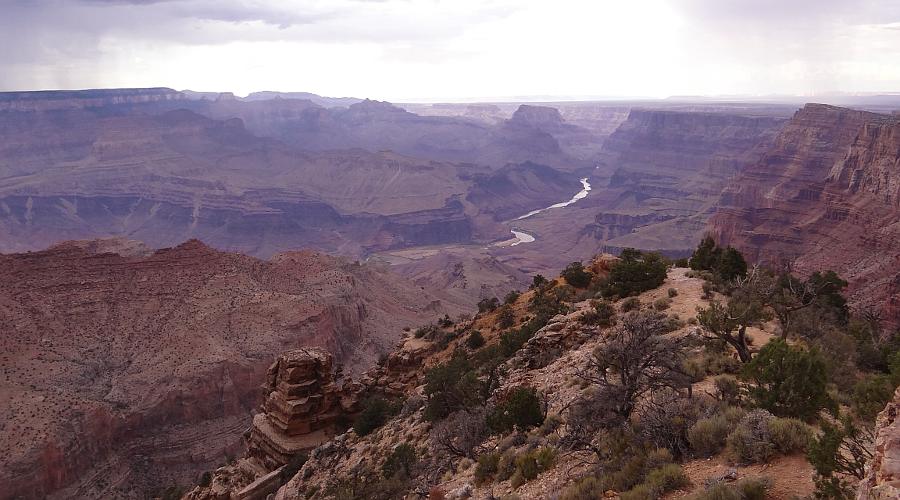 The Colorado River from Desert View Watchtower