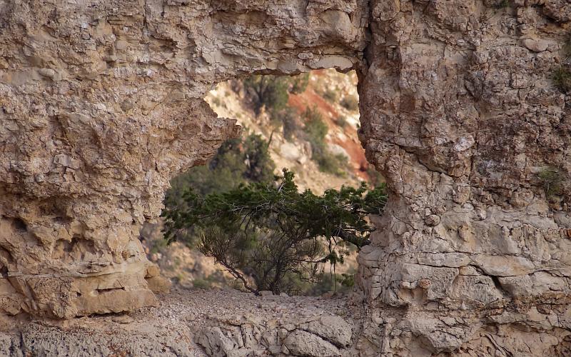 Rock window and tree